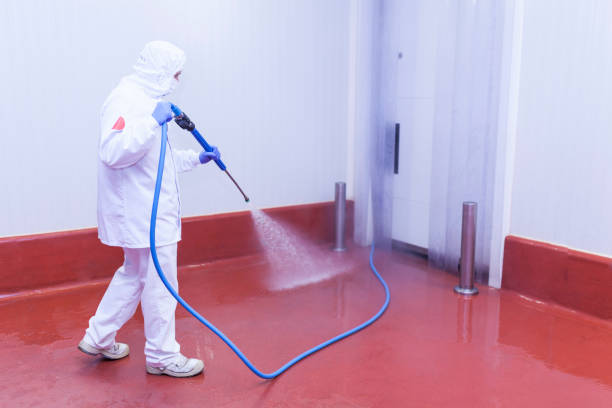 Best Soft Washing for Delicate Surfaces in Saltville, VA