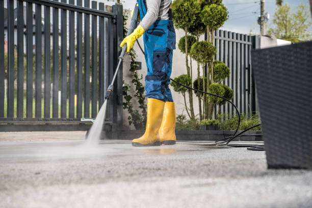 Best Roof Cleaning and Mildew Removal in Saltville, VA